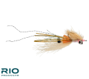 7641/Rio's-Spawning-Shrimp