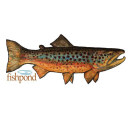 5892/Fishpond-Local-Sticker