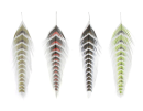 7398/MFC-Galloup's-Fish-Feathers-