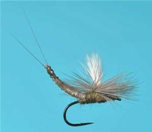 Para Extended Body BWO - Flies - Chicago Fly Fishing Outfitters ...