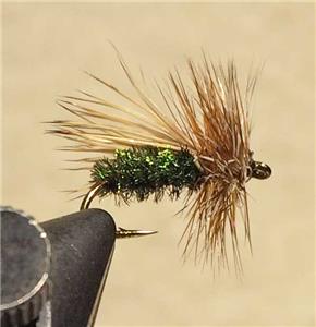 Peacock Caddis - Flies - Chicago Fly Fishing Outfitters | ChiFly.com